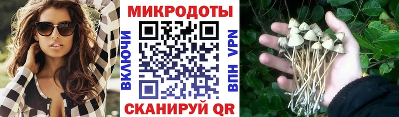 Галлюциногенные грибы прущие грибы  OMG ССЫЛКА  Петухово  продажа наркотиков 